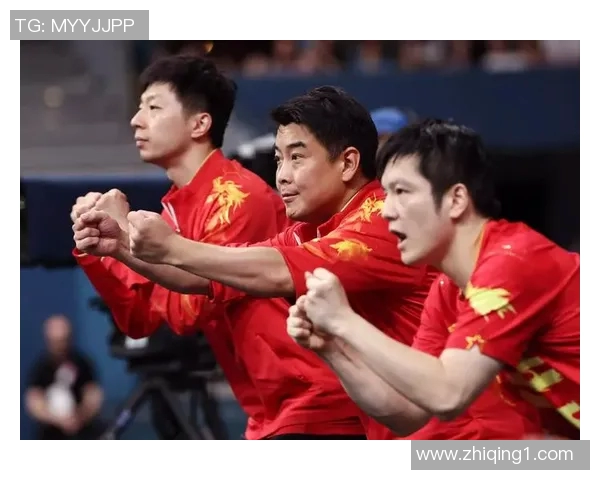 北京乒乓球队精英赛背后的拼搏故事与奋斗历程揭秘