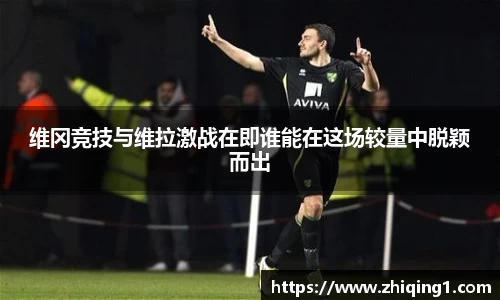 谈球吧
