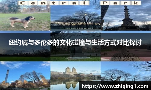 纽约城与多伦多的文化碰撞与生活方式对比探讨